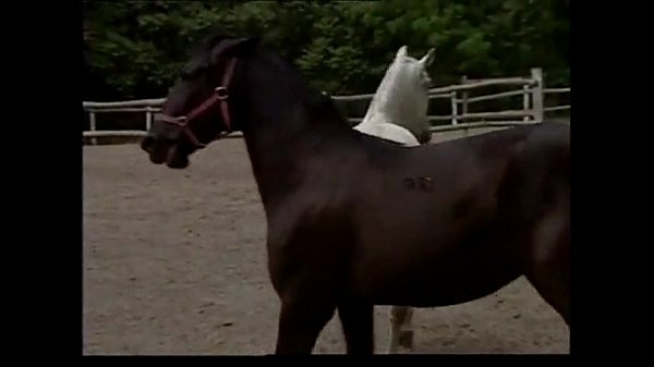 Sandra Russo and Tomski82 in a full-length movie