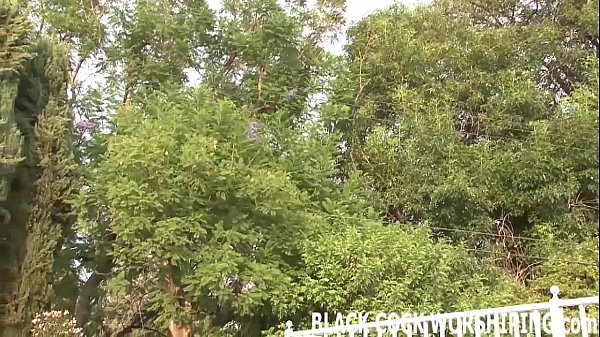Curious Porn Pass - Wife gets huge black cock from cuckold husband