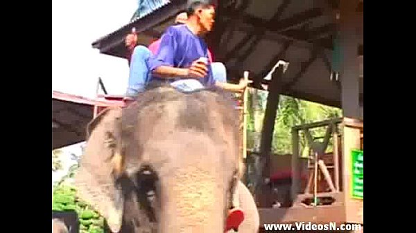 step mom double thai end hardcore fucking sex