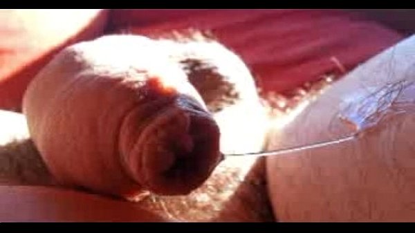 Latinsolo prostate milking solo masturbation anal play