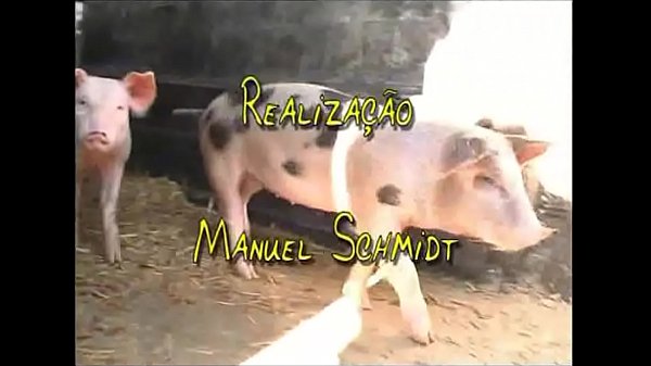 Telurius first month at quinta da conde in portugal scenes