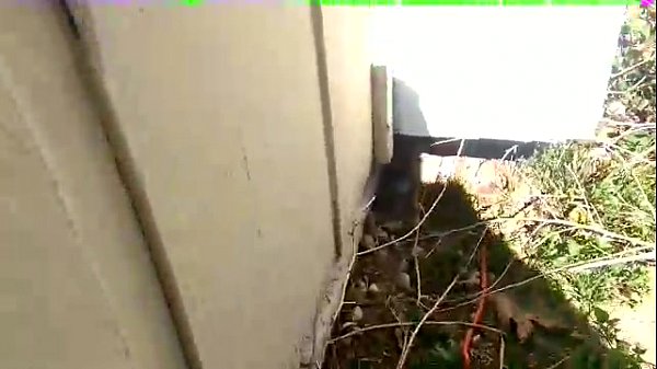 roommate gets caught jilling off on hidden cam