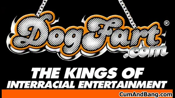 black man group fuck with multiple white women oral and vaginal