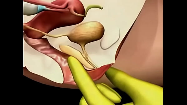 How to find the point G spot for intense orgasme
