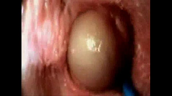 brunette woman using internal sextoys for closeup pussyfucking
