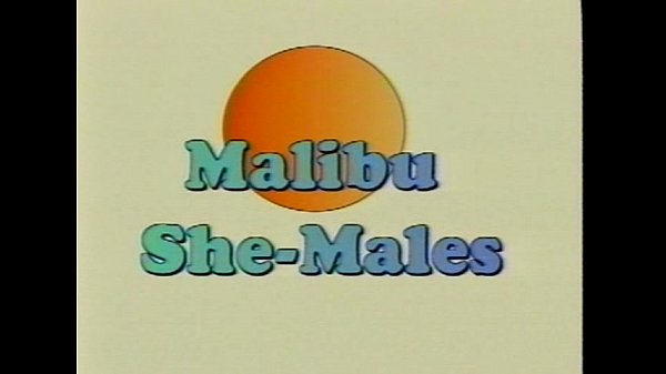 Metro Malibu Sme Males Full Movie Scene
