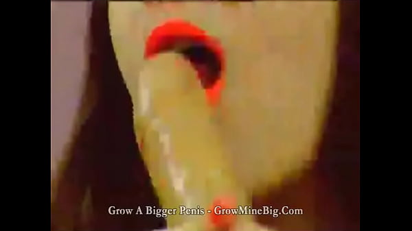 Leewazr anal babe sucks on sex toys