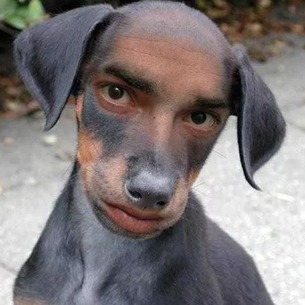 Alexliszo