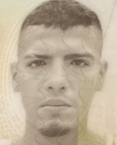 David Bander