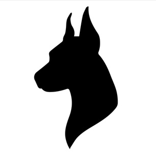 DoggVision
