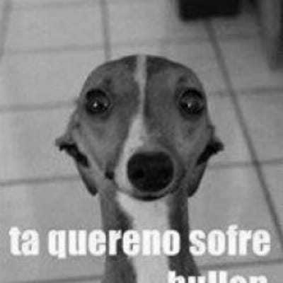 Pazeeamor