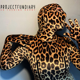 Projectfundiary