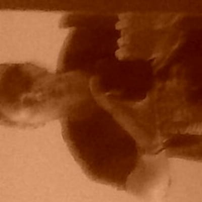 Thomas-Walker